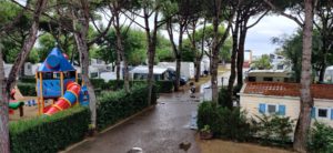 Blick über den Campingplatz