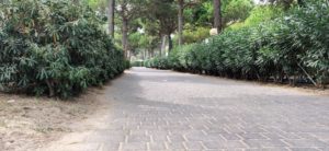 befestigte Straßen am Campingplatz