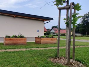 Frisch gepflanzte Bäume geben bald Schatten.